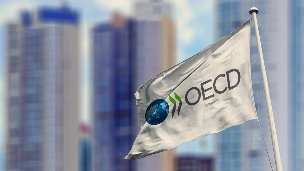 OECD: Türkiye’de enflasyon oranı ortalamanın 10 katı