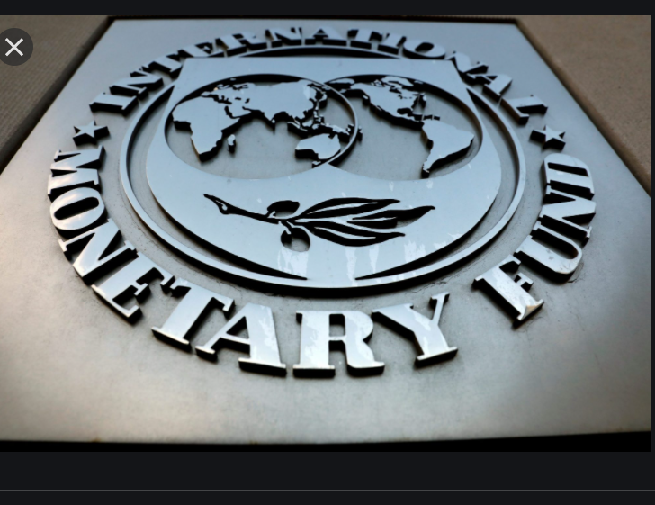 Korkut Boratav: IMF ve Arjantin; Biraz da Türkiye