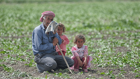 15 Yılda 750 Bin Çiftçi Sosyal Güvenlik Kapsamından Çıktı