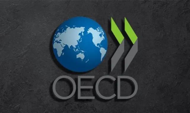 OECD Mart 2025 Küresel Ekonomik Görünüm raporu: Büyüme yavaşlıyor enflasyon dirençli