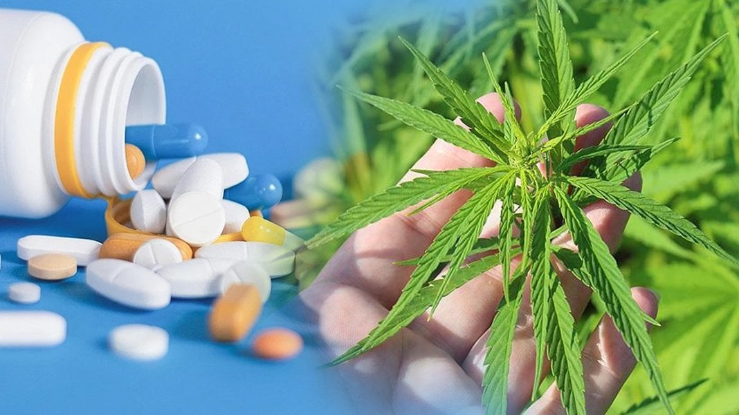 Kenevir Dönemi Başladı: Eczaneden Satış Onaylandı