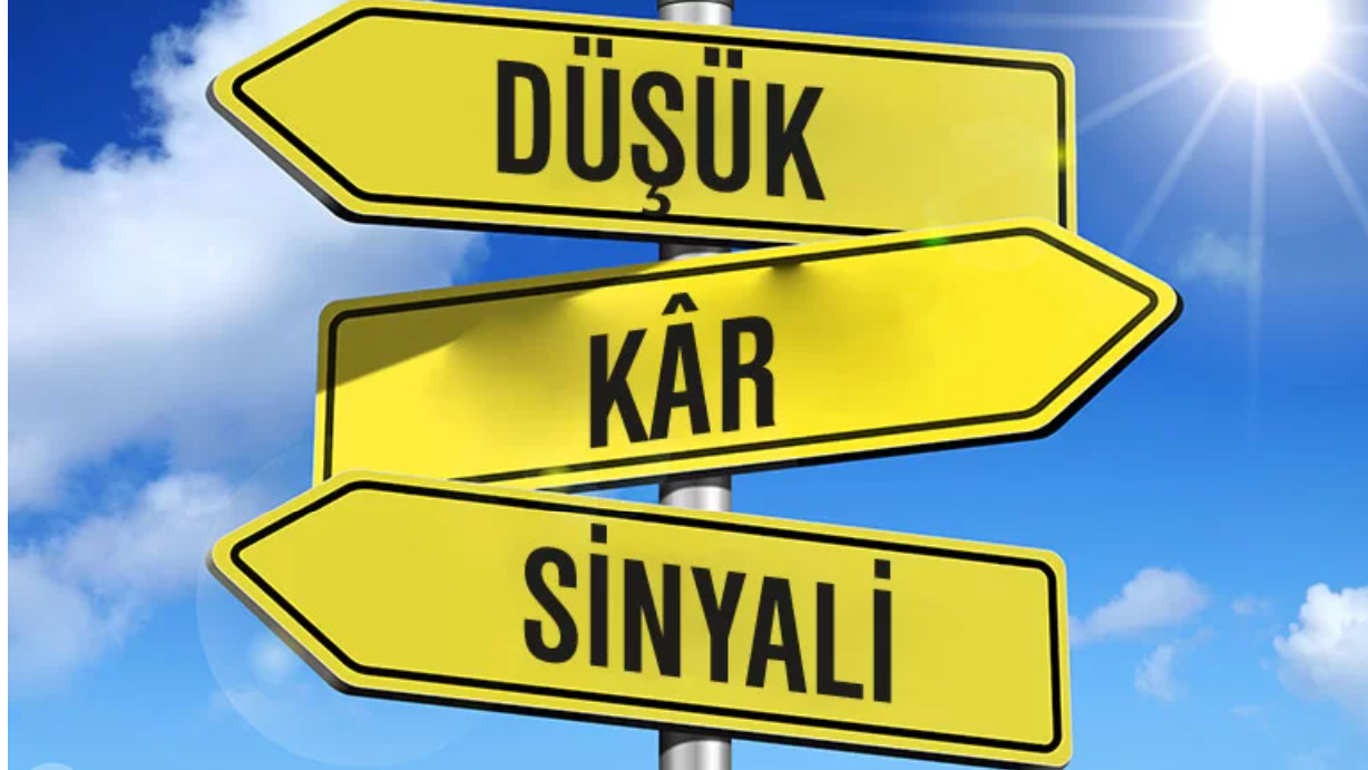 GCM Yatırım 2Ç25 Beklentileri: Sektörlerde Ayrışma, Şirketlerde Seçicilik Zamanı